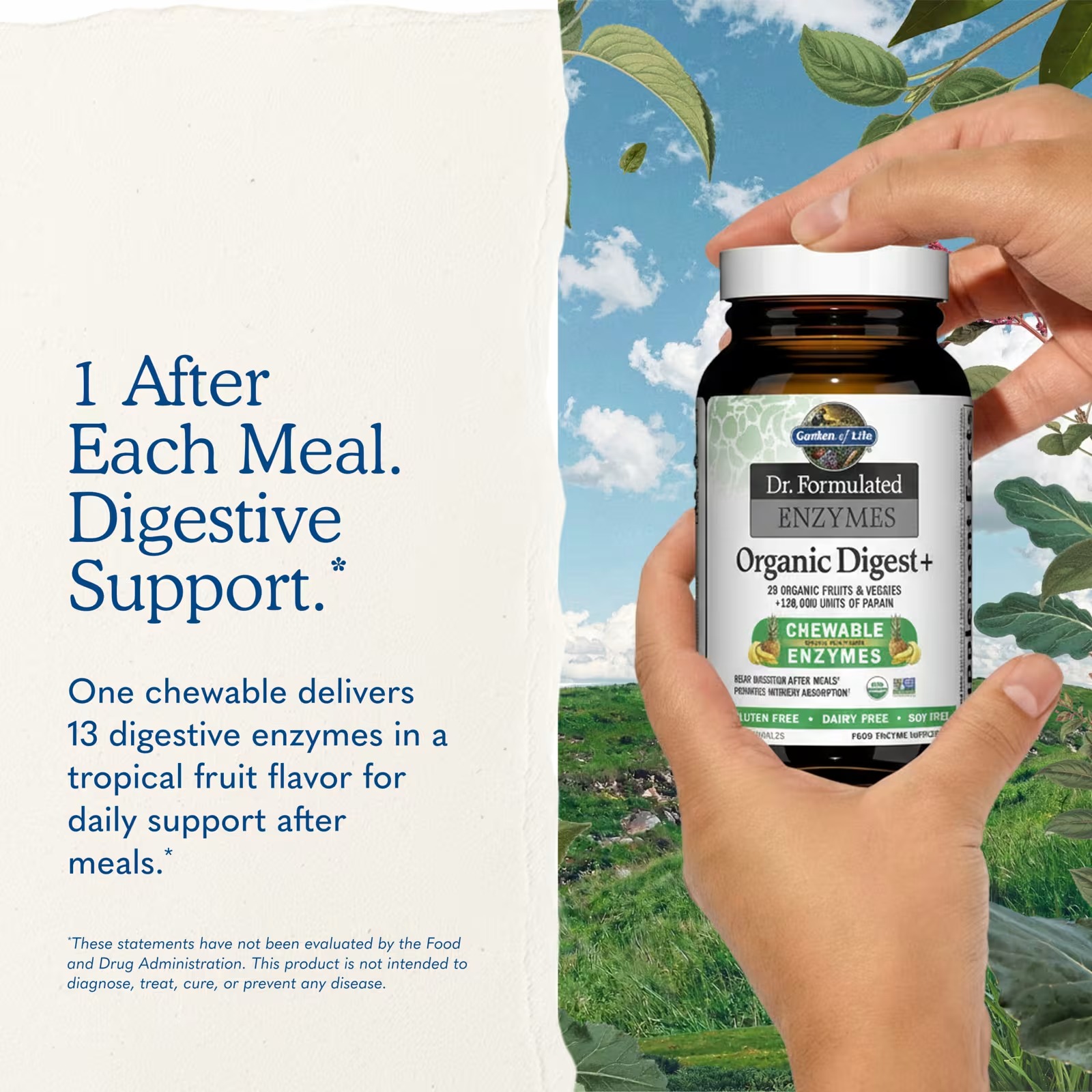 Garden of Life Dr. Formulated Enzymes Organic Digest+ | 90 Chewables thumbnail 5
