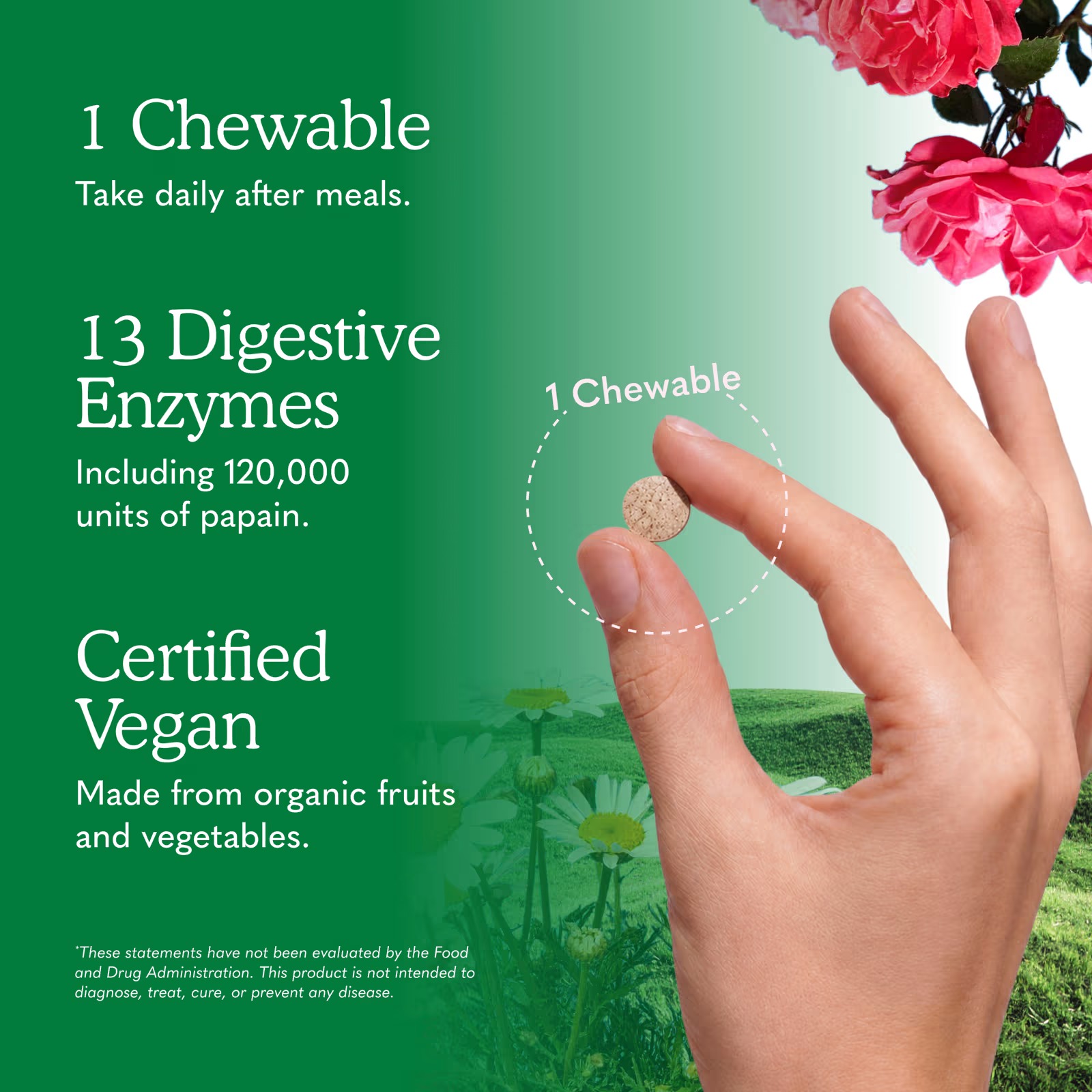 Garden of Life Dr. Formulated Enzymes Organic Digest+ | 90 Chewables thumbnail 7