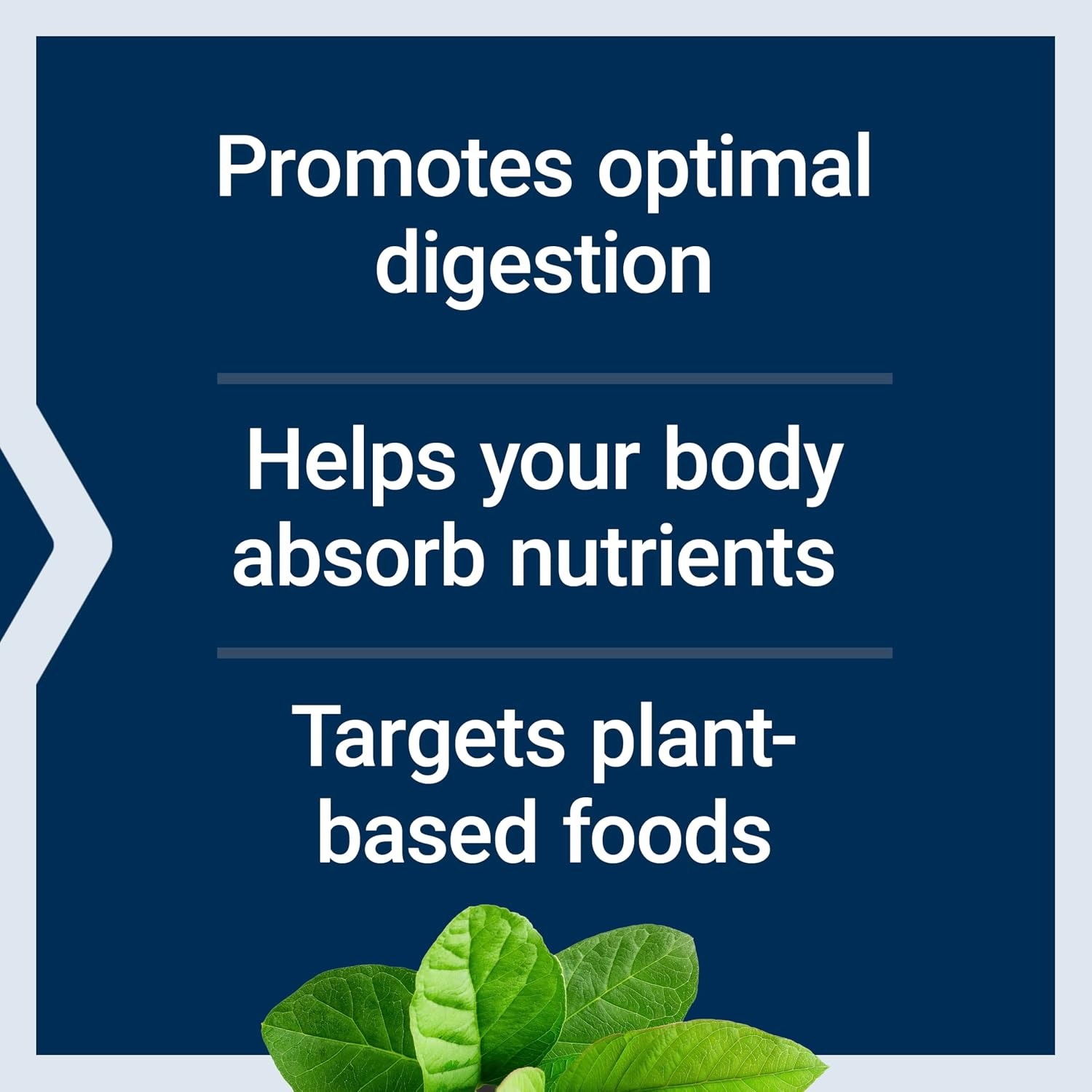 Life Extension Enhanced Super Digestive Enzymes | 60 Capsules thumbnail 5