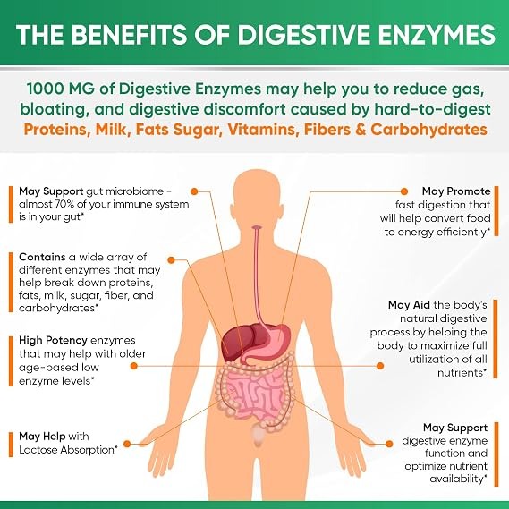 Wholesome Wellness Digestive Enzymes | Prebiotics & Probiotics + Vitamin C thumbnail 2