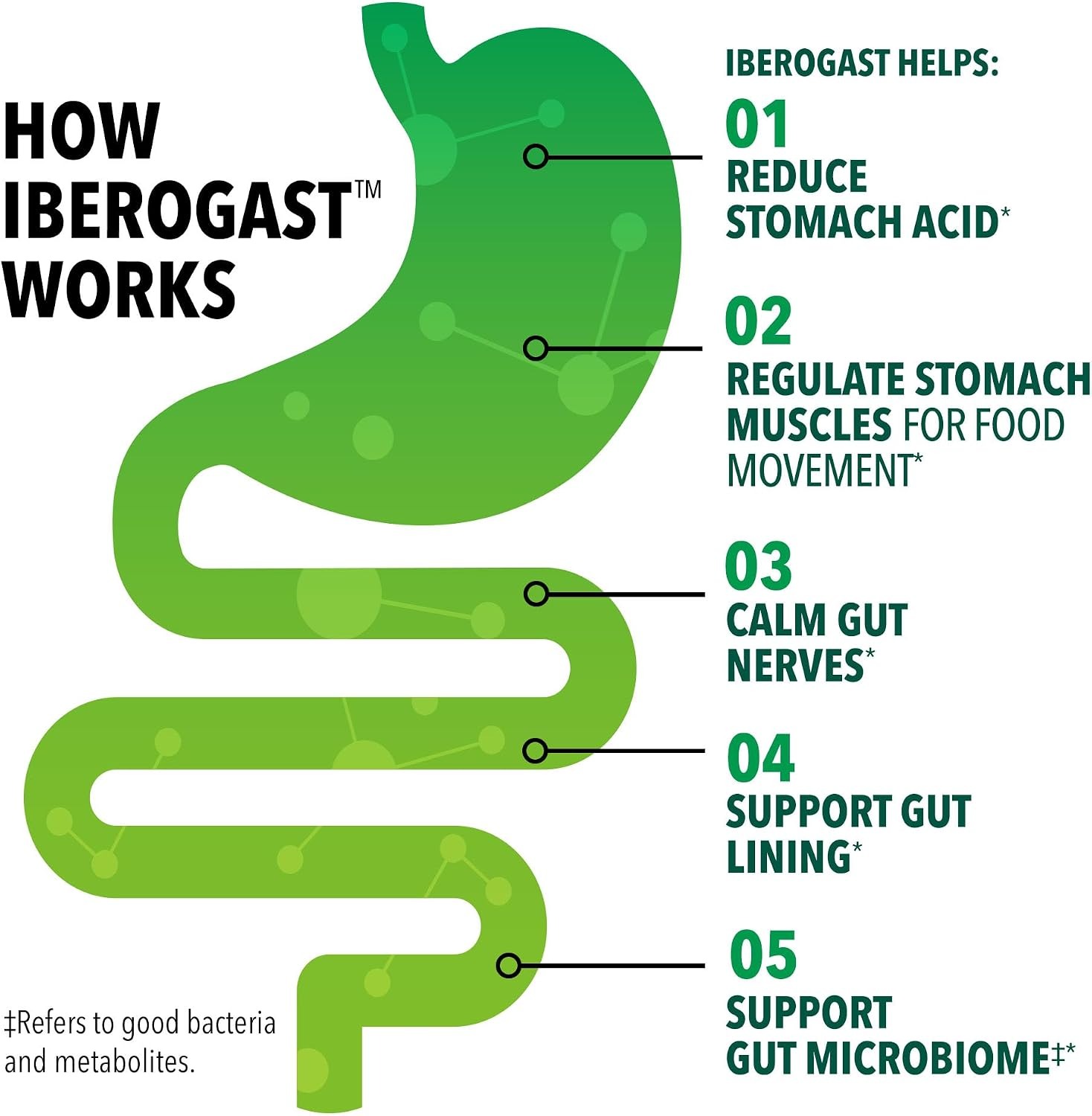 Iberogast Softgels | 6-Herb Blend for Digestive Support | 30 Count thumbnail 5