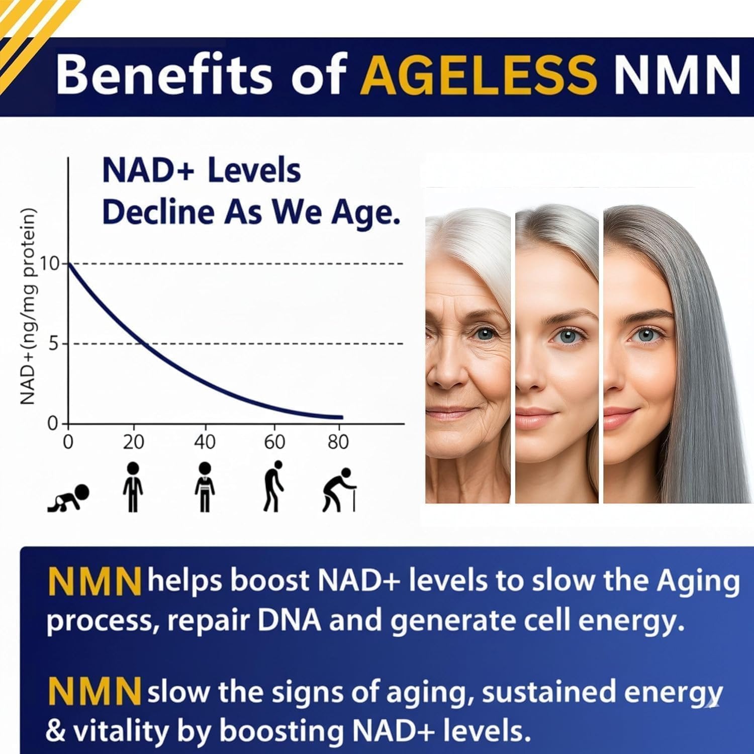 Ageless NMN Healthy Aging Supplement for Men & Women thumbnail 4