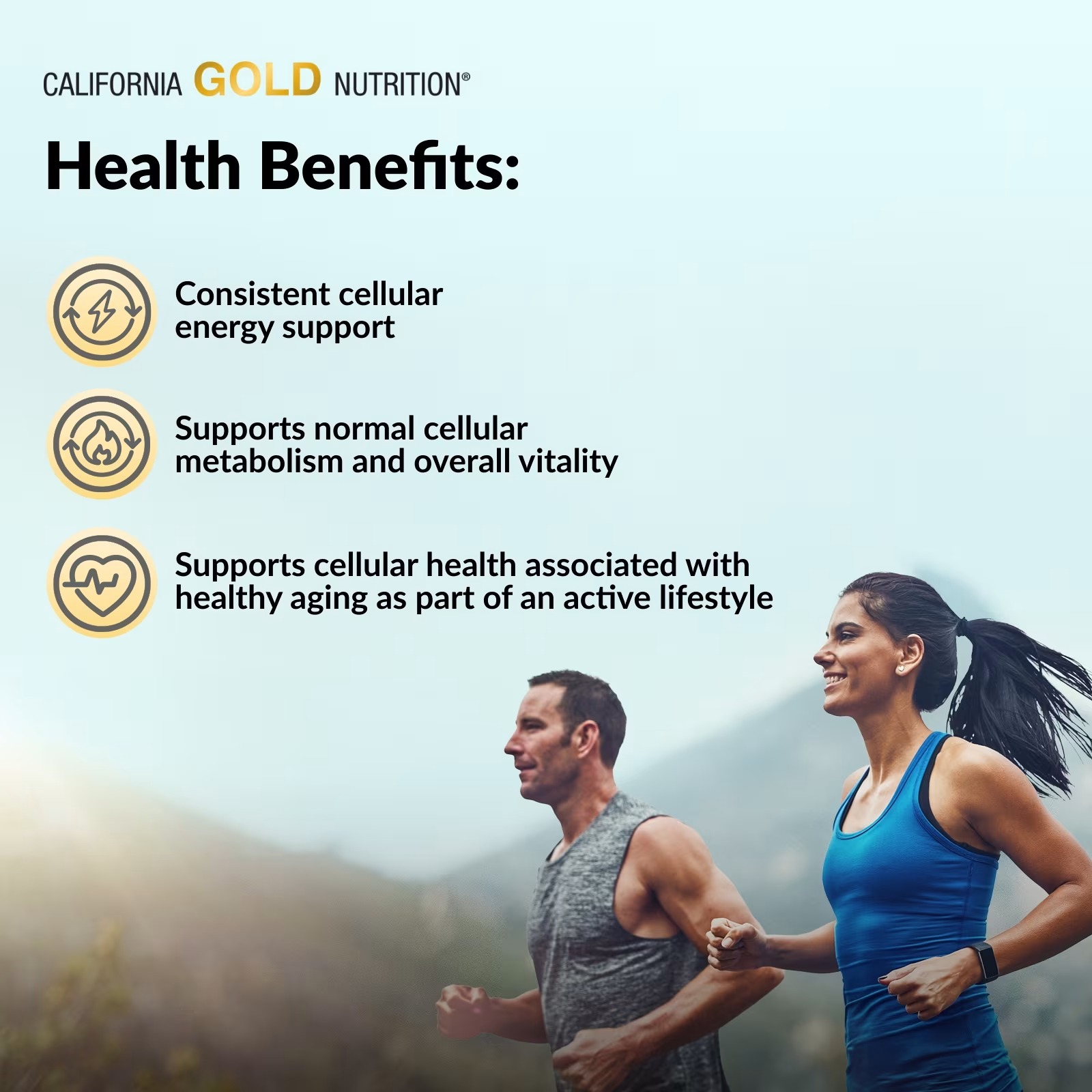 California Gold Nutrition NMN 60 Veggie Capsules Pakistan thumbnail 5