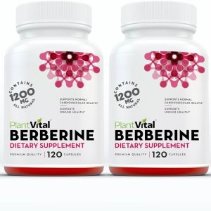 Plantvital Organic Berberine 1200mg | Non-GMO Vegan Supplement | 240 Count