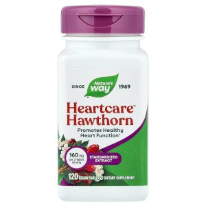 NATURE TARGET Men's Gut Health Probiotic | 60 Billion CFU | 90 Ct